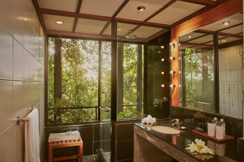 Panoramic King