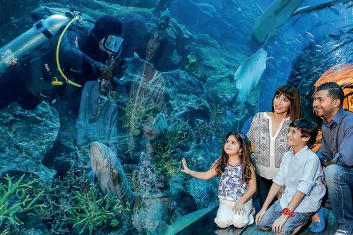Junior Suite with Dubai Aquarium Ticket