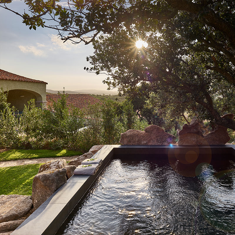 Deluxe Suite with Private Pool